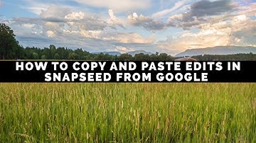 How To Copy and Paste Edits In Snapseed From Google