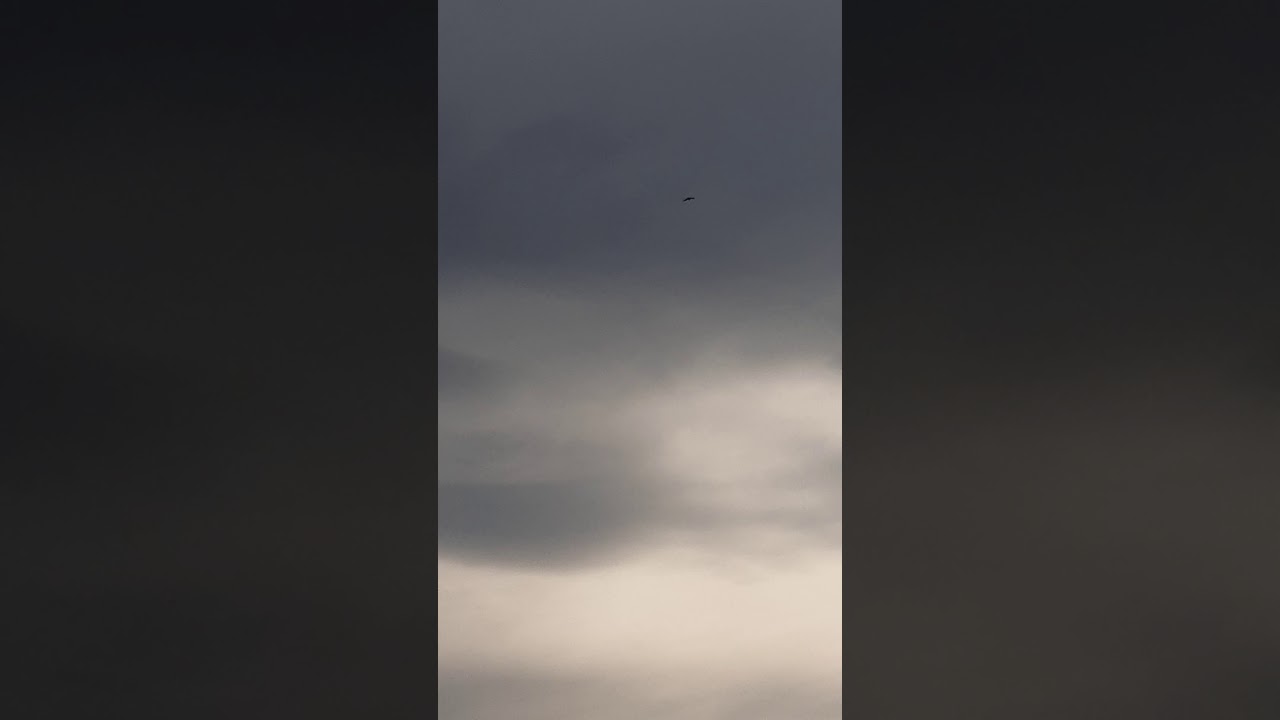 Mustafa Demir Hoca - İkindi ezanı🎵 (Yenilenmiş video)