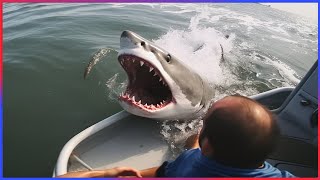 Damn Nature You Scary | Funny Scary Animal Encounters  #16