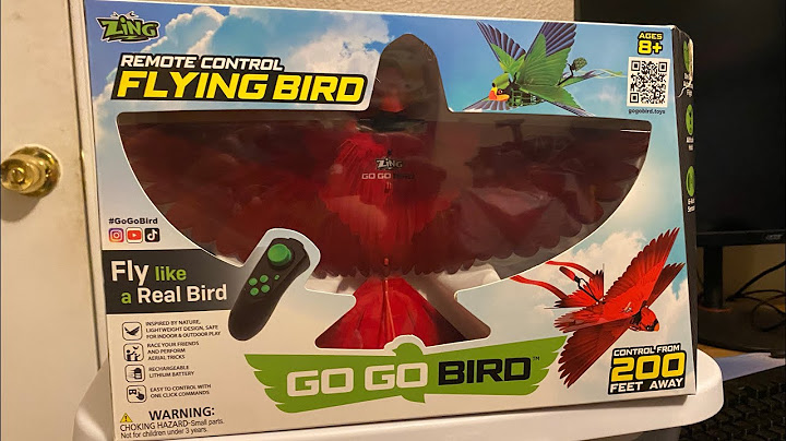 Zing Go Go Bird- unboxing and first flight- RC Cincy