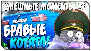БРАВЫЕ КОТЯТА!-Смешные моменты#6 БРАВЫЕ КОТЯТА!-Смешные моменты#6
