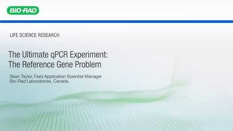 Tutorial Video: Ultimate qPCR Reference Gene Problem (5 of 7)