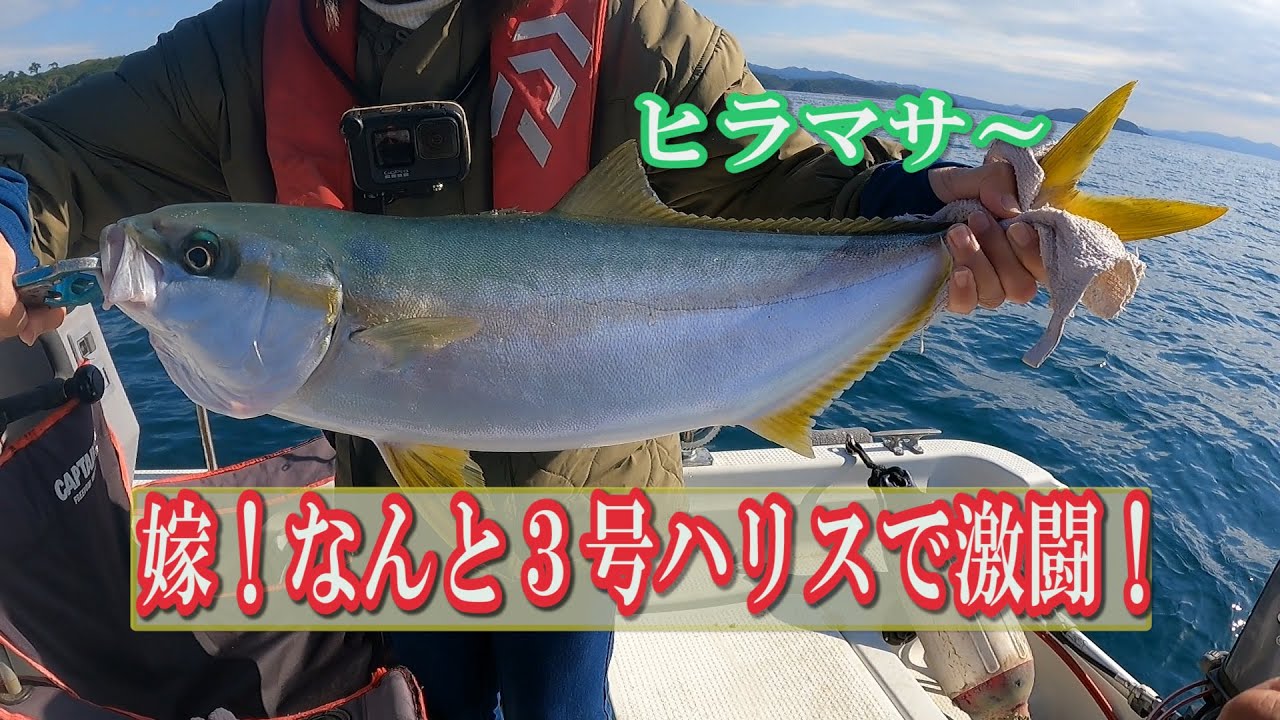 良形グレ、良形ヒラマサ好釣果！腕を上げたお母さん！