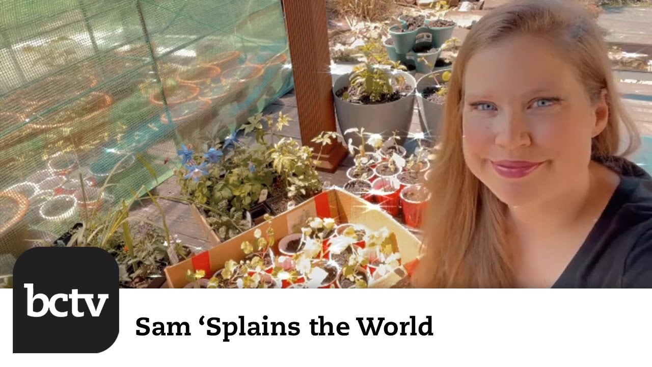 Hardening Plant Babies and Combating Frost Edition | Sam 'Splains the World