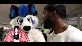 Jidion kicked out of furry con, for good reason. (E.D video)