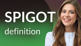 Spigot • what is SPIGOT definition