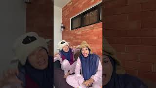 Bunyi kucingg🦊🐱🐨🦁🐯🐹🐼