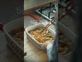 Japanese Gomoku Daikon / 大根の五目煮 #cooking #food #ひと皿に広がる物語 #料理ドラマ #料理