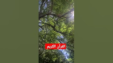 القرآن الكريم #اكسبلور #المصحف #challenge #تيك_توك #jumagreenscreen #ترند #لايك