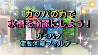 【アクアリウム】えっ！？河童の力で水槽を綺麗にしよう！？？ 格安！！ 〜海水にも使えるよ〜【カミハタ 流動河童フィルター】【開封動画】【外掛けフィルター】