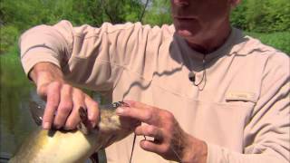 Circle Hooks For Catfish