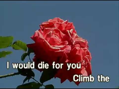 04. Love Will Keep Us Alive - Eagles