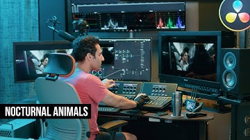 How to get the NOCTURNAL ANIMALS look | DaVinci Resolve 16 Tutorial