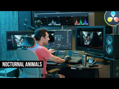Como chegar os animais noturnos olhar | DaVinci Resolve 16 Tutorial