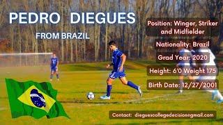 Highlights pedro diegues