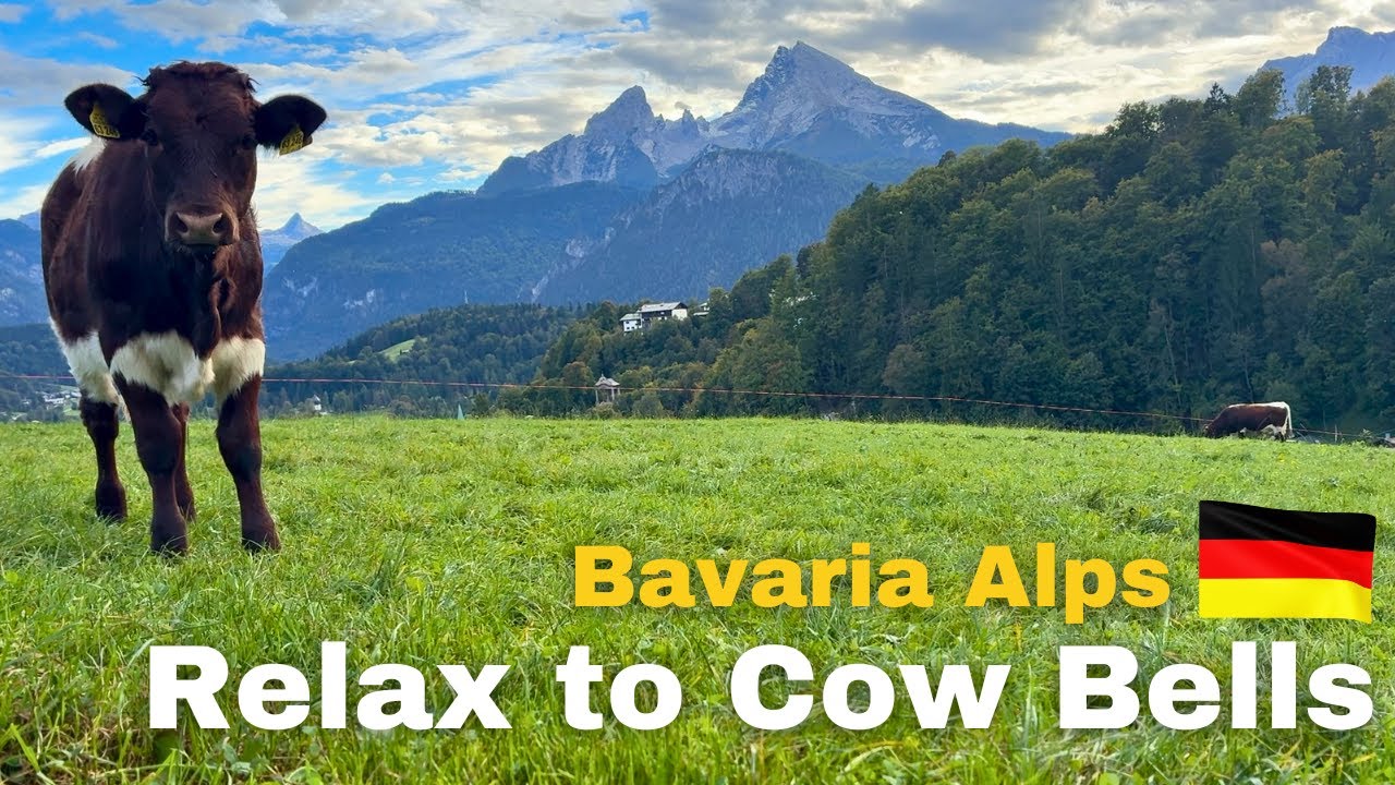 Relax In The Alps | 10 minutes of Happy Cow Bells