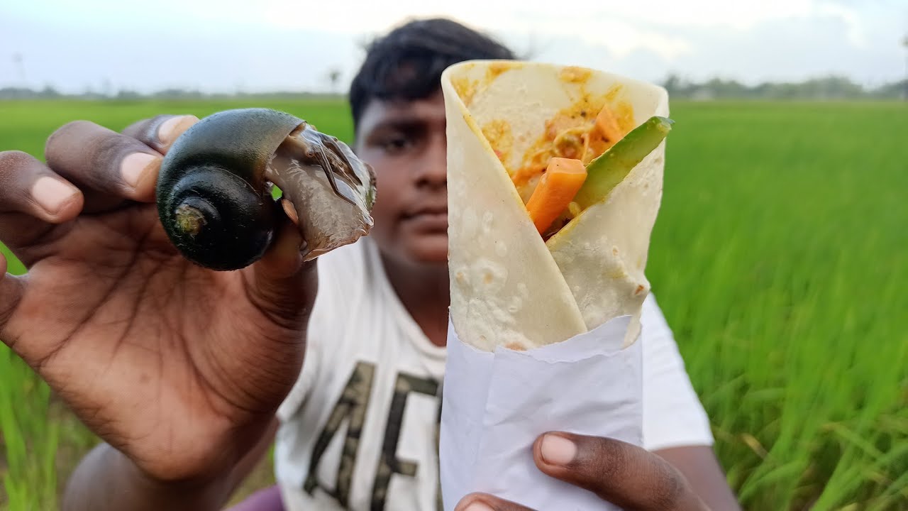 நத்தை ஷவர்மா|Snail Shawarma recepie|Snail Hunting|நத்தை வேட்டை|Small Boy Suppu|Village Food Safari