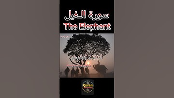 14-Short, Surah Al-Fil, سورة الـفيل (The Elephant:105), عبدالولي الأركاني #quran