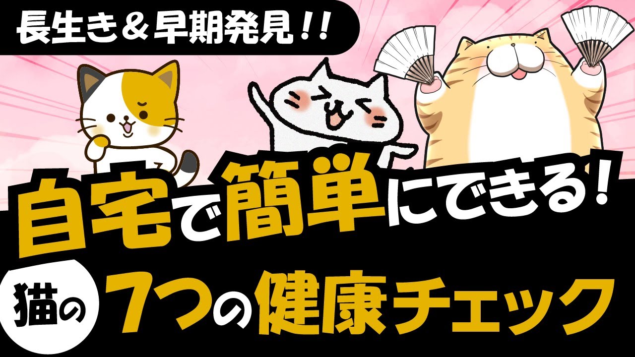 猫の健康チェック7項目！毎日おうちで簡単にできる方法を解説