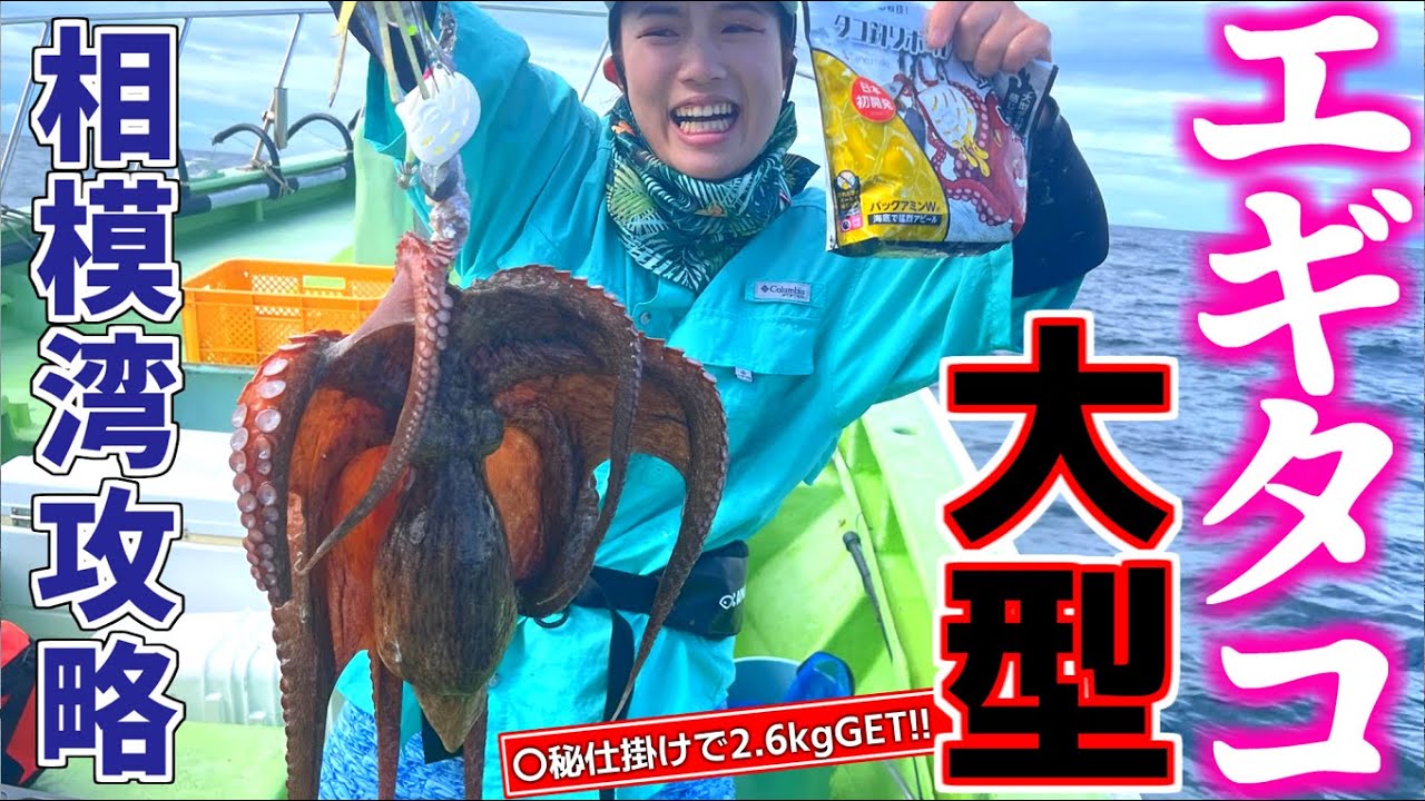 エギタコ釣り】相模湾で大型連発!!穴場のマダコ釣り！【かねい丸