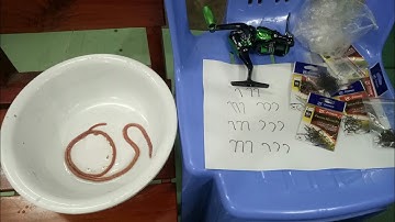 Mồi câu Tôm | lưỡi câu tôm | máy câu tôm | cần câu tôm. Video 43