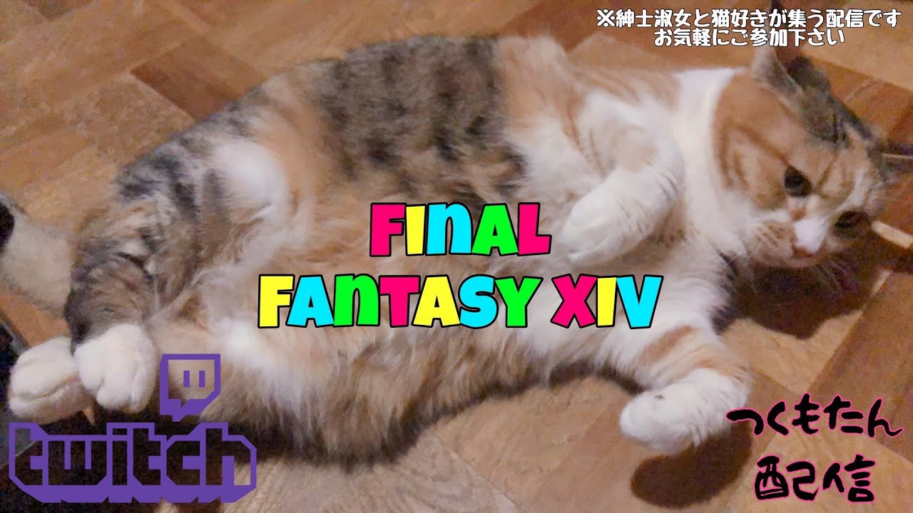 【FF14】どっこいｘ２しょ【2026.2.27】