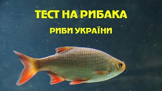 Тест на рибака. Риби України