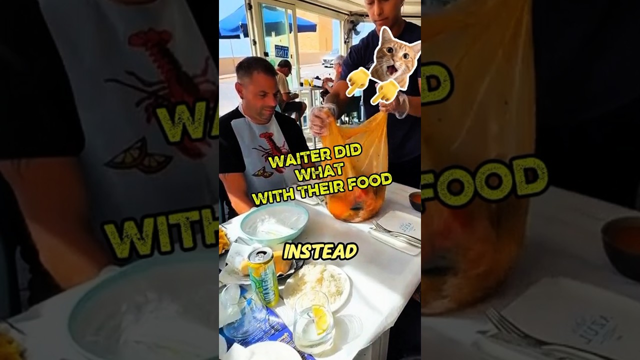 По их лицам после этого было ясно всё… 🤯(@azulbluegrotto) 