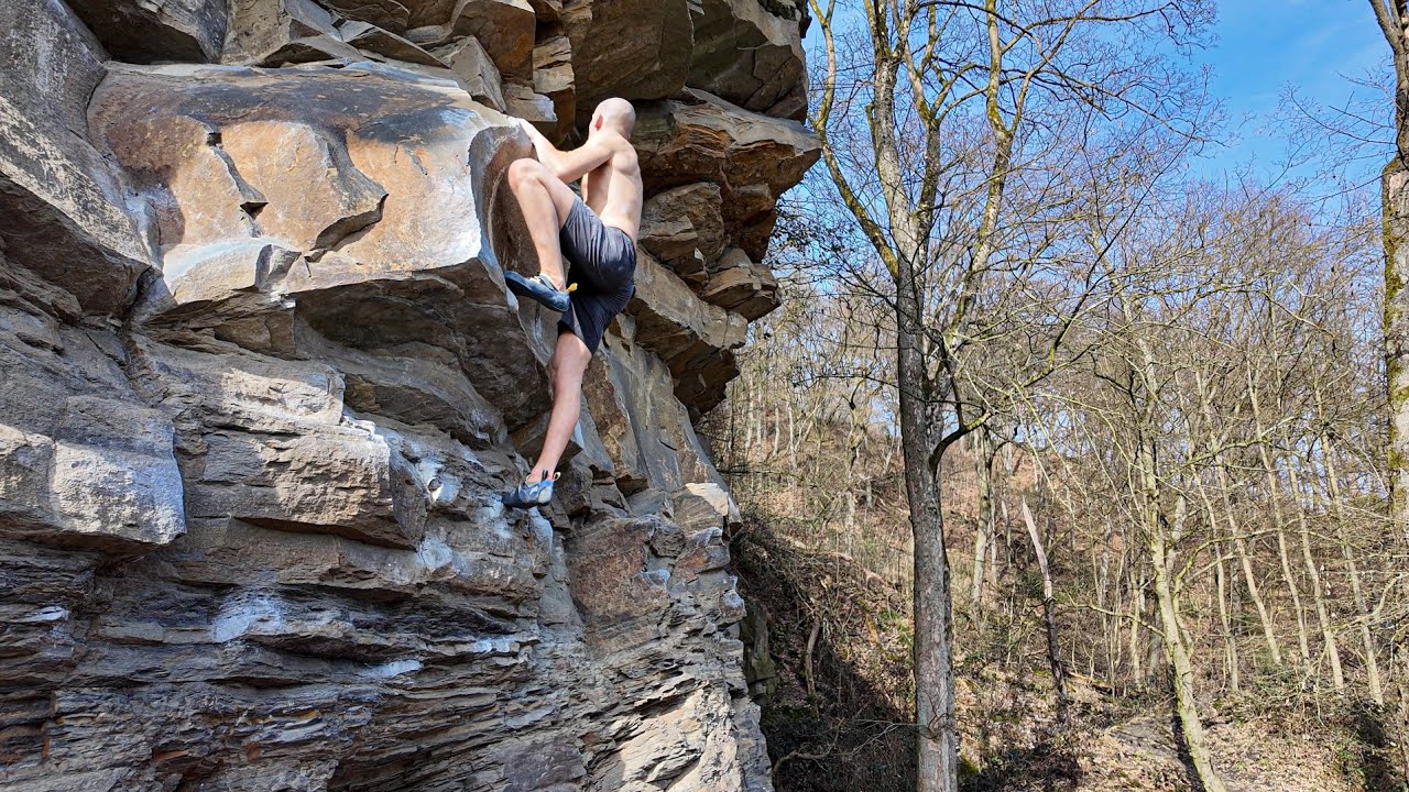 Michel springt am höchsten, 7A - Spielewiese, Avalonia