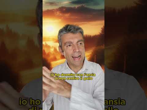 Il duello