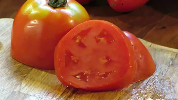 Kolik váží amišské rajče na pastu?