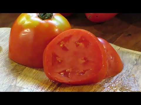 Amish Paste Tomato: The Only Paste Tomato You'll Ever Need!