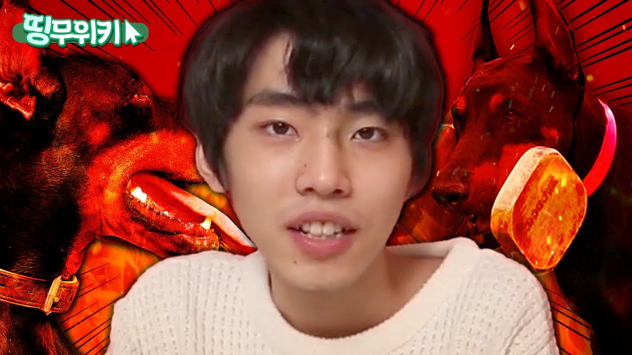 [띵무위키] 눈베르만