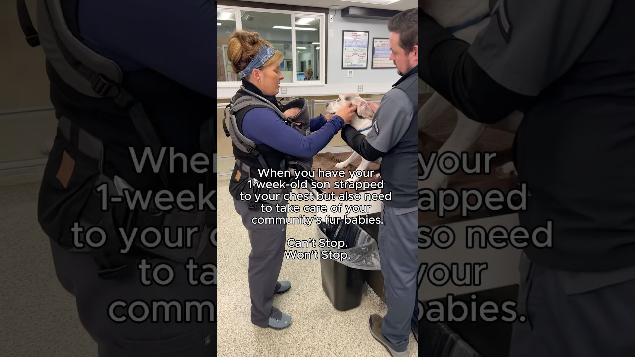 Balancing Motherhood and Veterinary Care: Dr. Sara McPeck's Unwavering Dedication