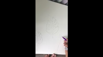 Step-by-Step Guide to Drawing a Realistic Palm Leaf