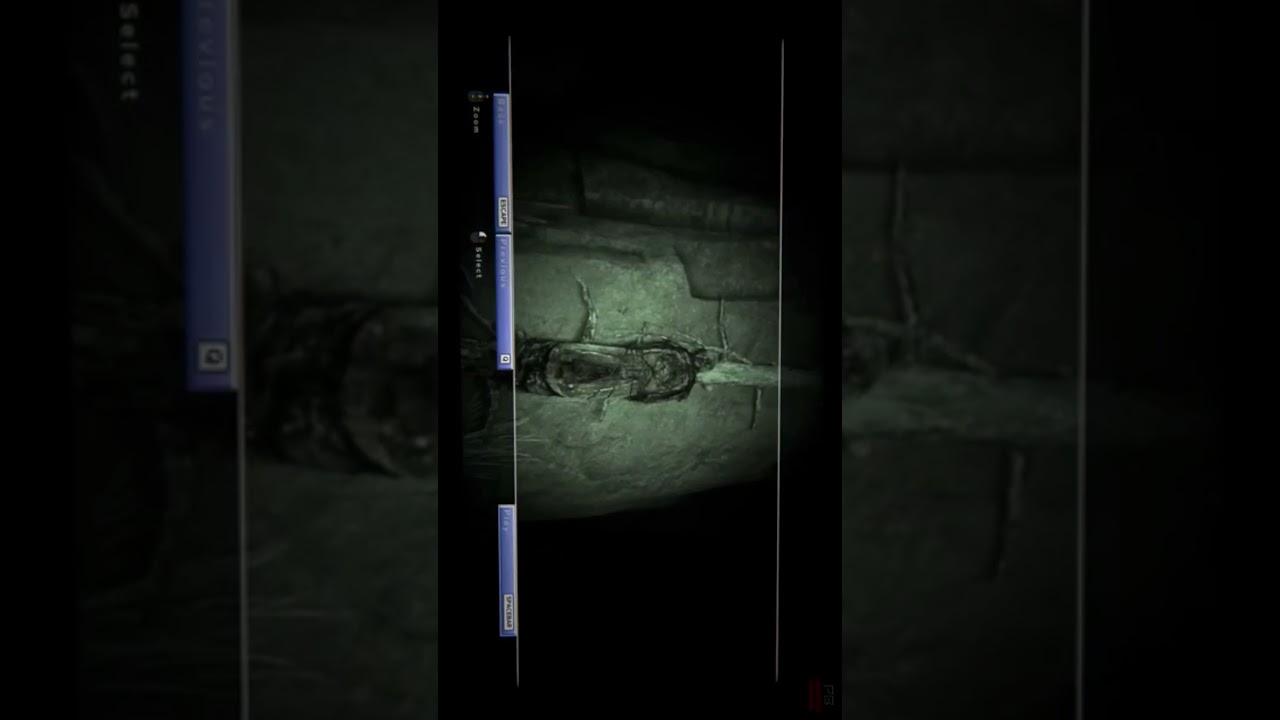 No COMMENTRY GAMEPLAY  