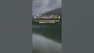 وَوَصَّيْنَا الْإِنسَانَ بِوَالِدَيْهِ إِحْسَانًا ۖ| #quran #قرآن #المصحف #عبدالباسط_عبدالصمد #تلاوة