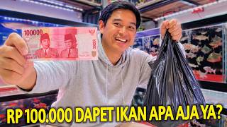 BELI IKAN RP 100.000 DI TOKO IKAN LEGENDARIS BANDUNG! DAPET IKAN YANG SUPER CAKEP!