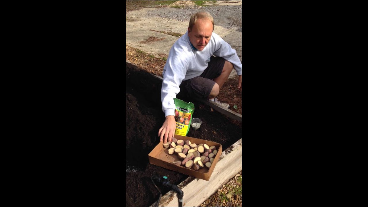 001 Potato planting guide with Butch Drewes 