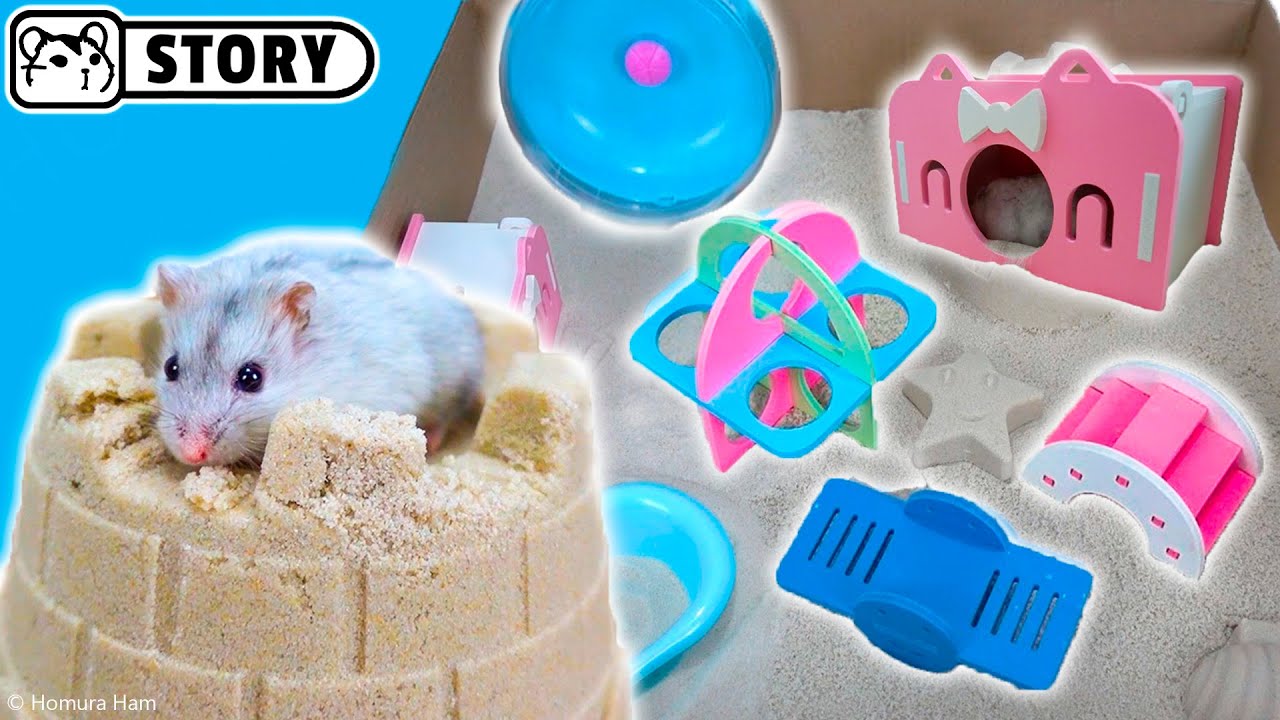 dwarf hamster playground