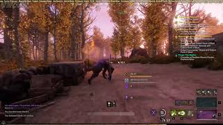 The road most travelled New World PVP