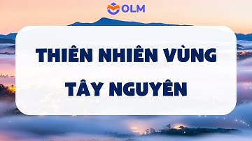 Thiên nhiên vùng Tây Nguyên - Lịch sử và Địa lí lớp 4 SGK mới