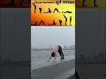surya namaskar
