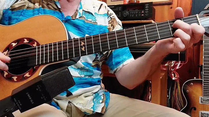 Hawaiian Slack Key - Guitar Instrumental