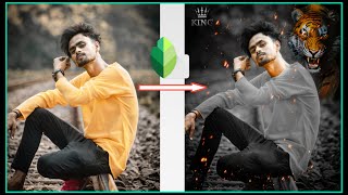 Snapseed Tiger photo editing 2021 screenshot 3
