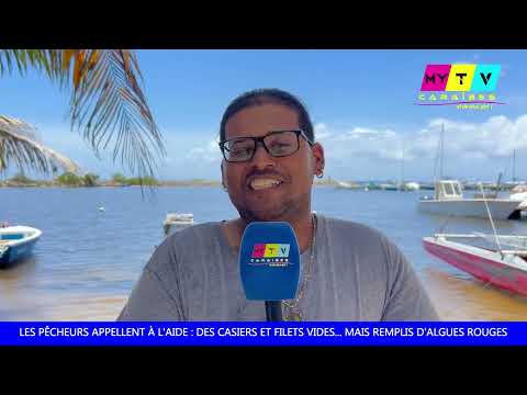 Les pêcheurs appellent à l'aide : casiers et filets sans poissons... mais remplis d'algues rouges
