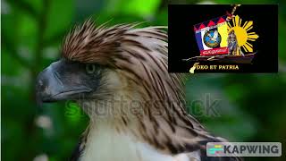 Eagles Pledge