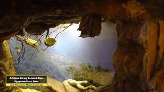 Palo Alto Junior Museum & Zoo - Live Stream