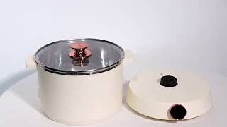 Retro Light Luxury Multi-Cooker HS-ME01 | Detachable Skillet with Elegant Rose Gold Accents