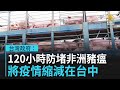 台灣政府:120小時防堵非洲豬瘟 將疫情縮減在台中